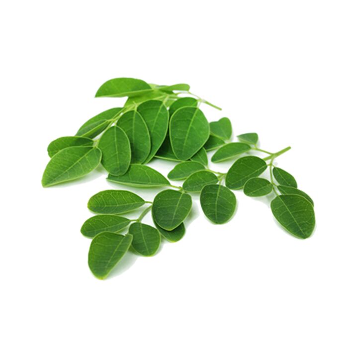 Normadex contains moringa leaves, a powerful natural anti-parasite remedy